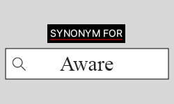 Aware-synonyms-01