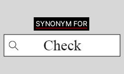 Double check - Definition, Meaning & Synonyms