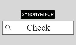 Check Synonyms  Best Synonyms for Check