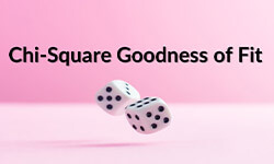 Chi-Square-Goodness-of-Fit-01