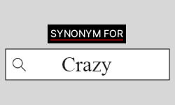 Crazy-Synonyms-01