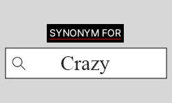 Crazy Synonyms  Best Synonyms for Crazy