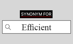 Efficient-Synonyms-01