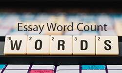 Essay-word-count-01