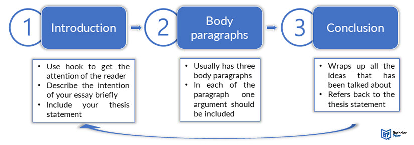 Expository-essay-structure-of-an-essay