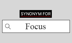 Focus-Synonyms-01