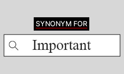 Important-synonyms-01