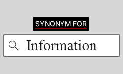 Information-synonyms-01