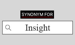 Insight-synonyms-01
