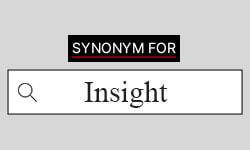 Insight-synonyms-01 Insight-synonyms-01