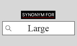 Large-Synonyms-01