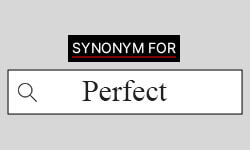 Perfect-Synonyms-01