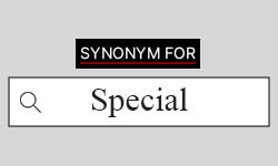 Special-Synonyms-01