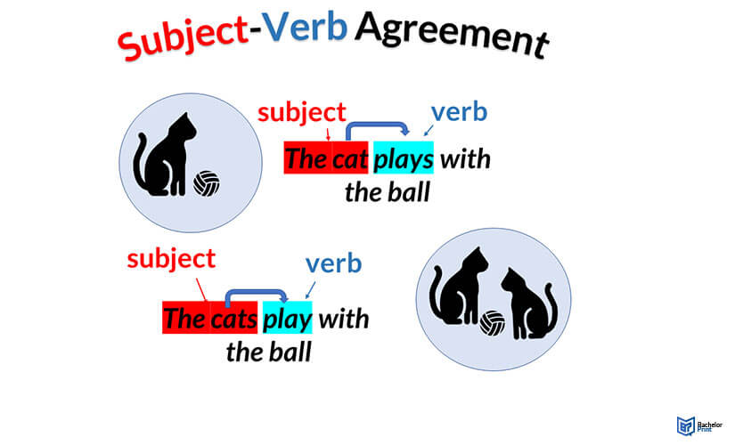 Subject-Verb-Agreement-Example