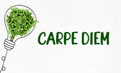 Carpe-diem-01