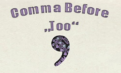 Comma-before-too-01