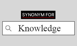 Knowledge Synonyms