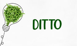 Ditto-01