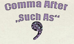 Comma After “Such As” ~ Rules & Practice Sheet