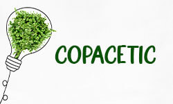 Copacetic-01