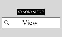 View-synonyms-01