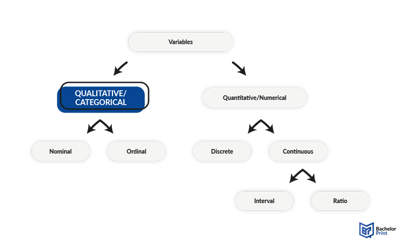 Categorical-variables-overview