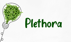Plethora-01