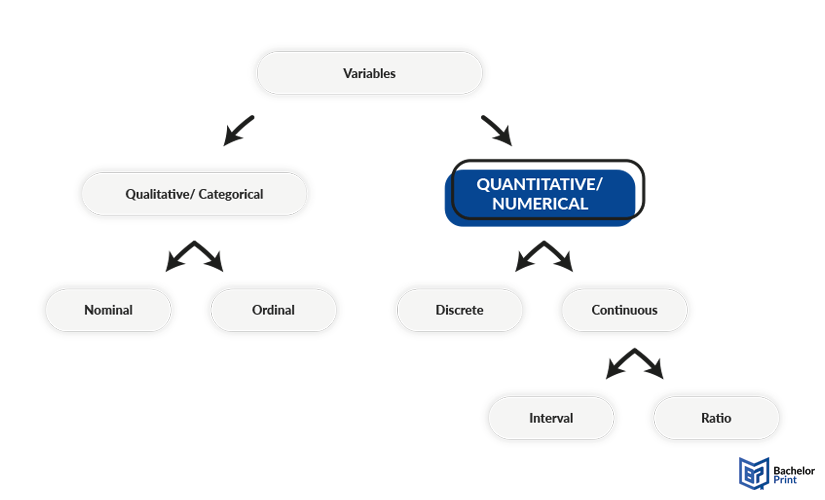 Quantitative-variables-overview