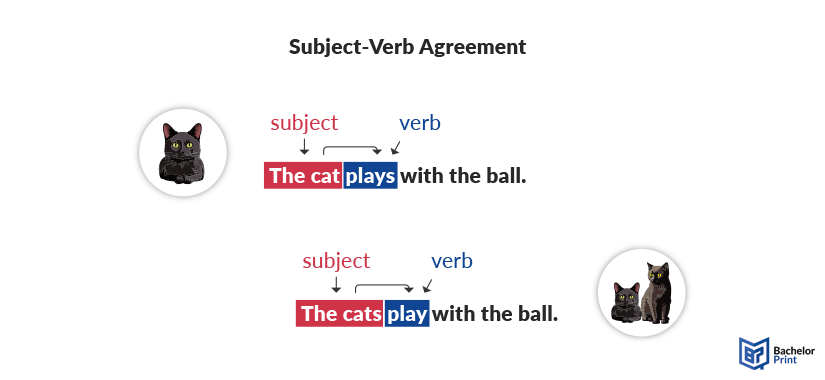 Subject-verb agreement-definition